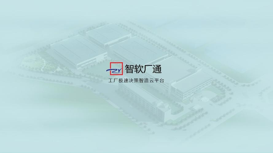 技术服务与软件开发 企业数字化转型的双翼支撑